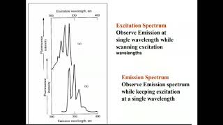 Excitation and emission Spectra in fluorescence [upl. by Jeralee]