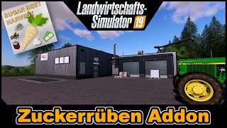 LS19 Mods  Zuckerrüben Addon  Jetzt macht die Zuckerrübe auch Sinn [upl. by Rosecan]