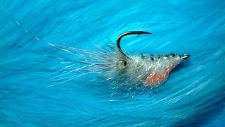 Tying the LiteBrite Shrimp Saltwater Fly by Davie McPhail [upl. by Mayyahk]