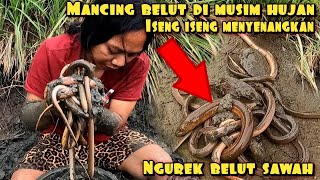 MANCING BELUT DI MUSIM HUJAN SEKALI MASUK LANGSUG DI SAMBAR [upl. by Lertnek562]