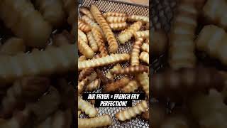 Frozen French Fries are Perfect in the Air Fryer [upl. by Huber]