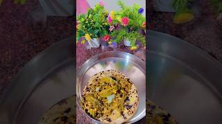 Rajasthani fali kachri sabji ytshorts trending viralshortsfypfeedkesariyabalamkachrisongyt [upl. by Huskey259]