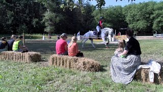 Paardenliefhebbers uit heel Nederland naar het Dijkgatbos [upl. by Naitsabas837]