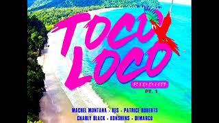 Toco Loco Riddim Mix Full Feat Charly Black Konshens Demarco November 2018 [upl. by Ilatfen]