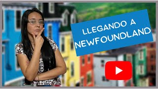 Unos Latinos en Newfoundland Canada [upl. by Yddet]