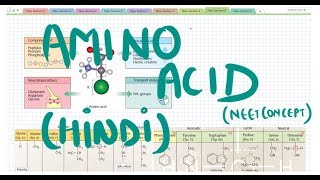 Amino acid HINDI [upl. by Nomelif]