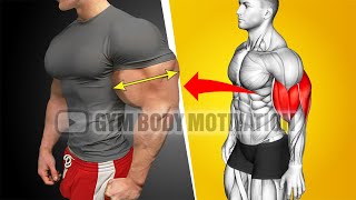 Worlds Best Biceps and Triceps Workout For Bigger Arms [upl. by Netsruk]