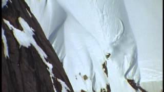 Heli Skiing in Greenland by Warren Miller [upl. by Parrnell356]