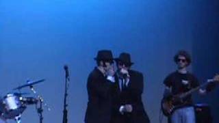 The Blues Brothers Everybody Needs Somebody To Love [upl. by Anahir]