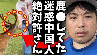 【奈良公園の悲劇】へずまりゅうが奈良公園をパトロール？鹿に暴力を振るう中国人を追い払う！ネットで初めて称賛の声、一方、シカの胃から4キロ以上のゴミ発見、命を落とした鹿… [upl. by Byrom210]