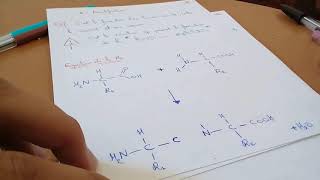 ACIDES αAMINÉS V7 PROPRIÉTÉS ACIDOBASIQUES DES ACIDES αAMINÉS ET CALCUL DE pHi  PARTIE 33 [upl. by Eelahs]