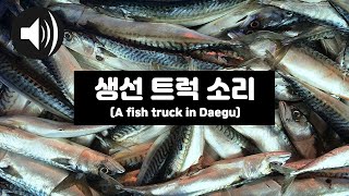 대구의 생선 트럭 소리A fish truck in Daegu [upl. by Llevart]