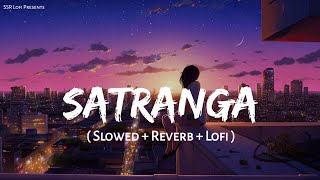 Satranga  Lofi Mix  Slowed  Reverb  Arijit Singh  Animal  SSR Lofi [upl. by Gaiser778]