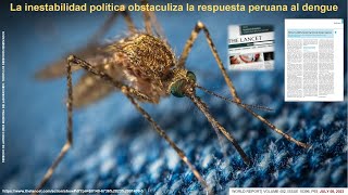 Diagnóstico laboratorial del DENGUE Pruebas directas e indirectas Luis Figueroa Montes [upl. by Acinomaj840]