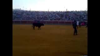 moranta ventura el juli el fandi y talavante poniendo banderillas festival de la puebla 2013 [upl. by Haughay687]