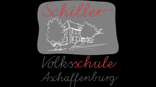 Enten Rennen der Schiller Volksschule Aschaffenburg [upl. by Peednam]