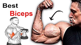 5 Best Biceps Exercises To Get Bigger Biceps [upl. by Jada]