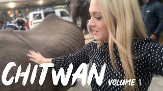 I FINALLY SEE AN ELEPHANT AND A RHINO I CHITWAN DIARIES I Volume 1 [upl. by Akehsyt140]