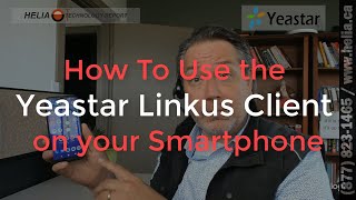 How To Use the Yeastar Linkus Client on your Smartphone [upl. by Eiclehc]