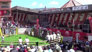 Savika Bull Catching Ambositra part 1 [upl. by Saddler666]