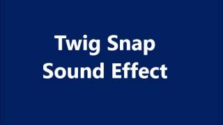 Twig Snap Sound Effect [upl. by Nelyk]