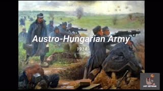 AustrianHungarian Army 1914 [upl. by Chiarra]