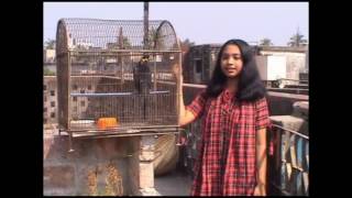 Bengali Children Songs  Amar Moina Pakhir Biye  chora gaan bangla [upl. by Yoho]