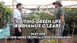 Ep191  Buying more Tropicals from GreenLife by Shamus Oleary  Part 1 [upl. by Nyer330]