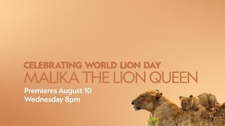 Malika The Lion Queen  WorldLionDay  NatGeoWild  RealisHere [upl. by Anivol696]