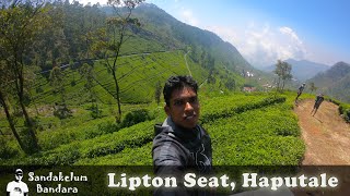 Haputale  Lipton Seat  Amazing Tea Estate [upl. by Pollak]