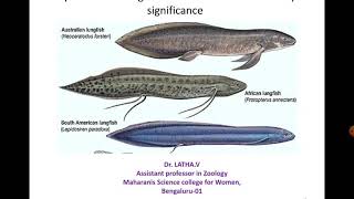 DipnoiInteresting features and evolutionary significance [upl. by Poppo]