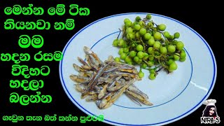 තිබ්බටු හාල්මැස්සෝ ටිකක් තියනවා නම් හදන්න ක්‍රමයක්  thibbatu halmasso curry  halmasso baduma [upl. by Dyanna788]