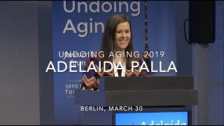 Adelaida Palla presenting at Undoing Aging 2019 [upl. by Wehtam]