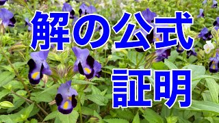 2次方程式の解の公式の証明 [upl. by Areehs550]