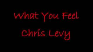 What You Feel Chris Levy [upl. by Line742]