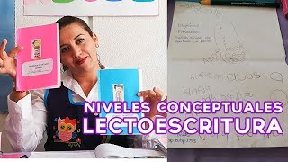 Niveles ConceptualesLECTOESCRITURA [upl. by Box518]