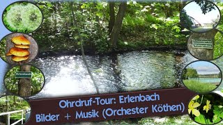 OhrdrufTour Erlenbach BilderMusik Orchester Köthen [upl. by Alyar]