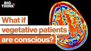 1 in 5 vegetative patients is conscious This neuroscientist finds them  Big Think x Freethink [upl. by Etyam]