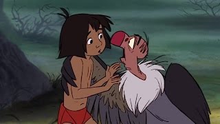 The Jungle Book ♪ Mowgli meets the vultures HD ♥ Cartoon For Kids [upl. by Aneekat]