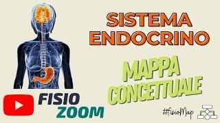 Il Sistema Endocrino FisioMap [upl. by Gilligan840]