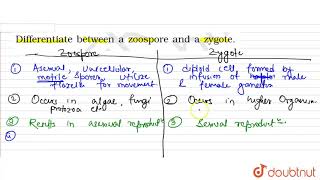 Differentiate between a zoospore and a zygote [upl. by Frulla]