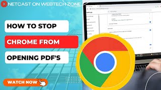 FIXED PDF Files Open In Chrome Instead of Adobe Reader [upl. by Imeka]