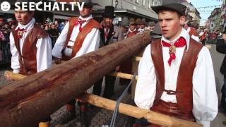 Narrenbaumstellen mit Winfried Kretschmann Stockach am Bodensee 27022014 [upl. by Alleris]