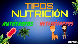 Los tipos de NUTRICIÓN de los SERES VIVOS [upl. by Rambert]