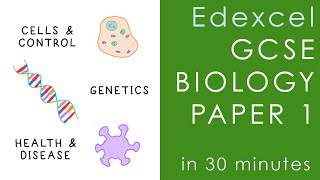 All of Edexcel BIOLOGY Paper 1 in 30 minutes  GCSE Science Revision [upl. by Ameerahs624]