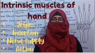 Intrinsic muscles of hand  origin insertion nerve supply and action  ayesha medical education [upl. by Bathesda]