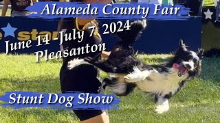 Stunt Dog show Alameda county fair 2024 [upl. by Noel]