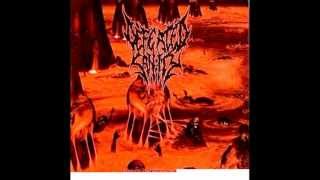 Defeated Sanity  Butchered at Birth Cannibal Corpse cover [upl. by Nelav39]