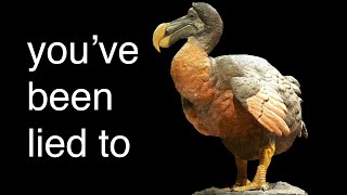 The REAL reason The Dodo Went Extinct [upl. by Nnalatsyrc]