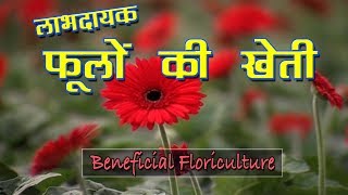 Floriculture Farming in India  फूलों की उत्तम खेती  Floriculture Business [upl. by Noyerb]